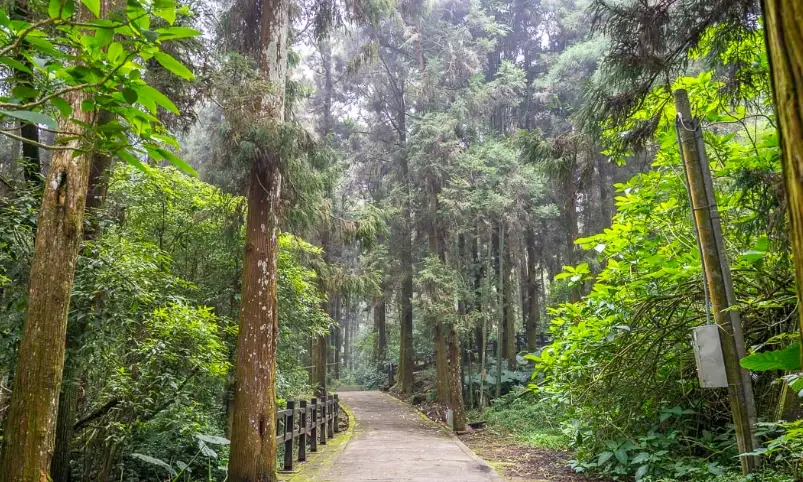 奮起湖一日遊