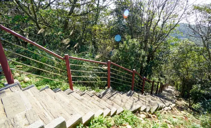 桃園親山步道 桃園親山步道