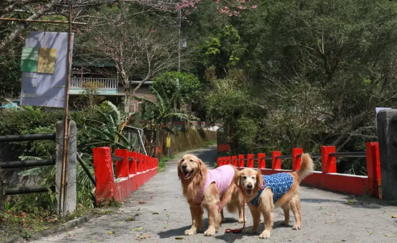 台北寵物友善步道 台北寵物友善步道