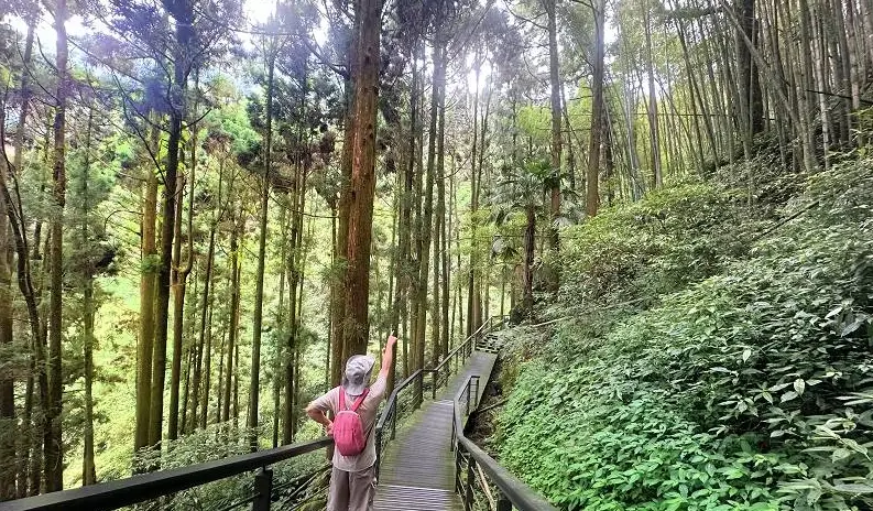 阿里山寵物旅遊 阿里山寵物旅遊