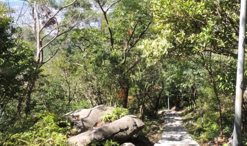台北寵物友善步道 台北寵物友善步道
