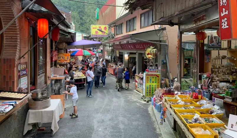 奮起湖帶狗 奮起湖帶狗