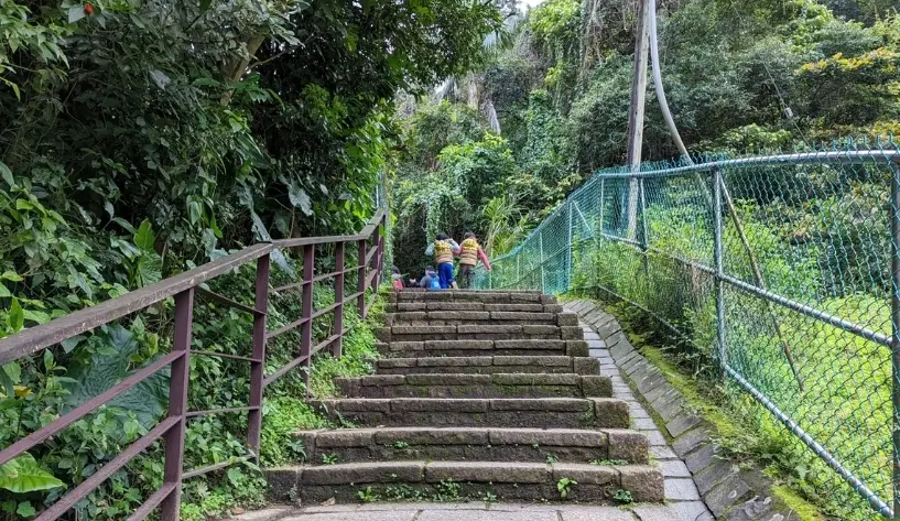 帶狗爬山 帶狗爬山