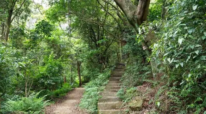 新北免費景點 新北免費景點
