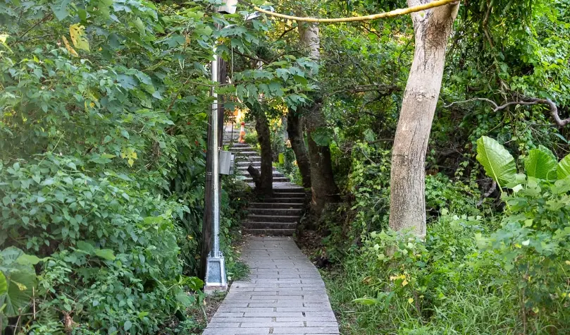 台北寵物友善步道 台北寵物友善步道