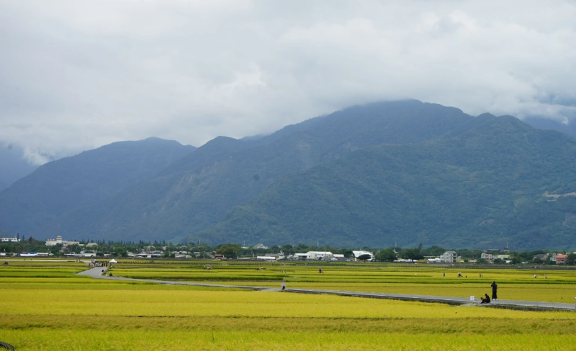 高雄屏東四天三夜行程全攻略：山海美景、在地美食、經典景點一次收藏