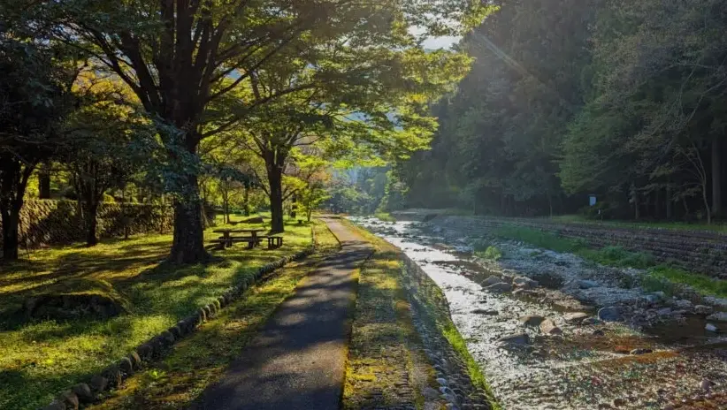 高山旅遊行程 高山旅遊行程