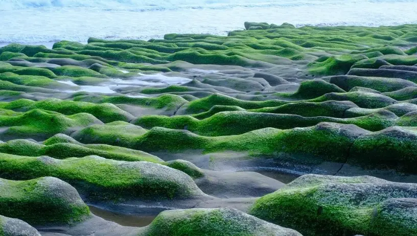 北海岸景點推薦 北海岸景點推薦