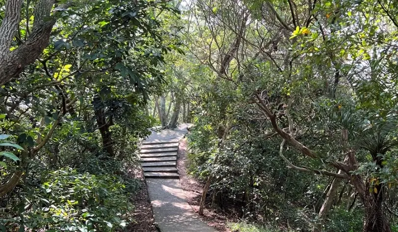 南崁步道 南崁步道