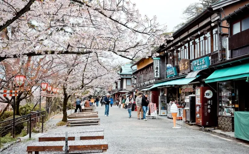 金澤家庭旅遊 金澤家庭旅遊