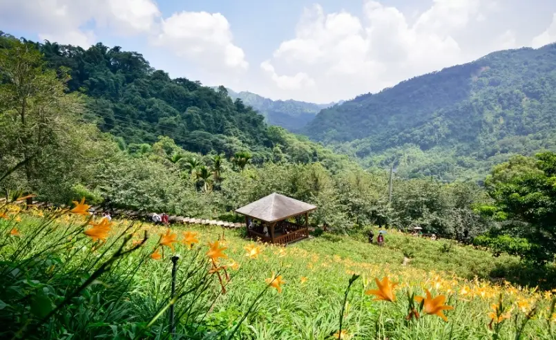 大坑步道親子 大坑步道親子