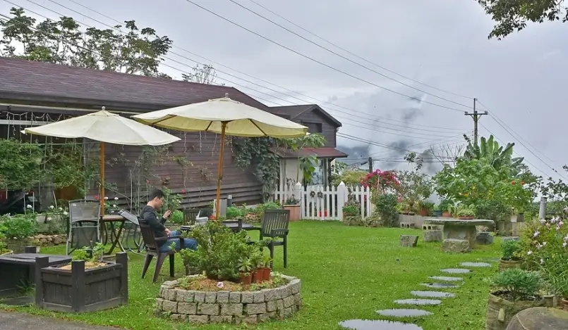 隙頂民宿包棟終極指南：阿里山秘境團體旅行首選