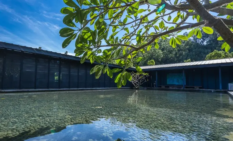 桃園溫泉休息 桃園溫泉休息