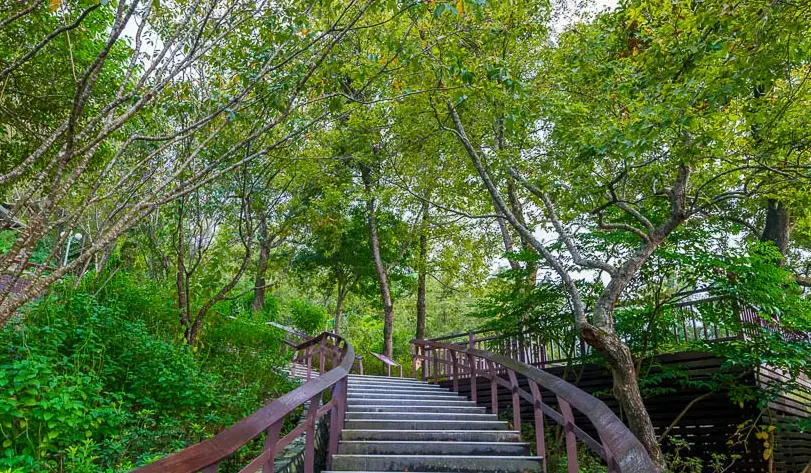 台南私房景點