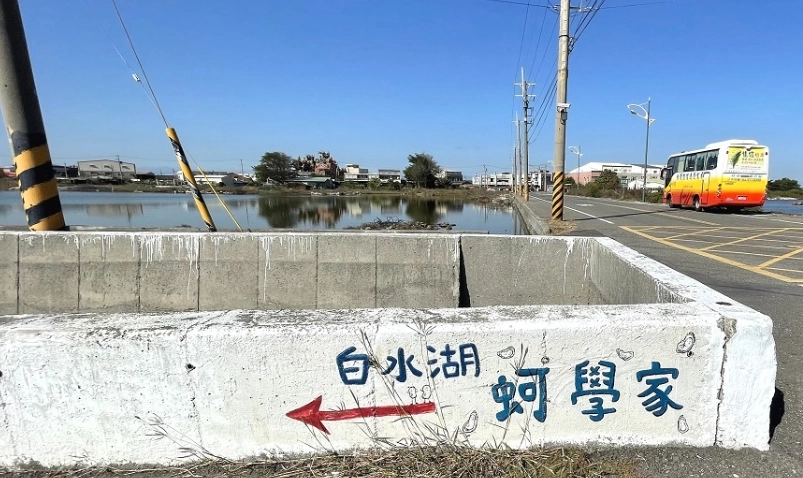 潮間帶體驗