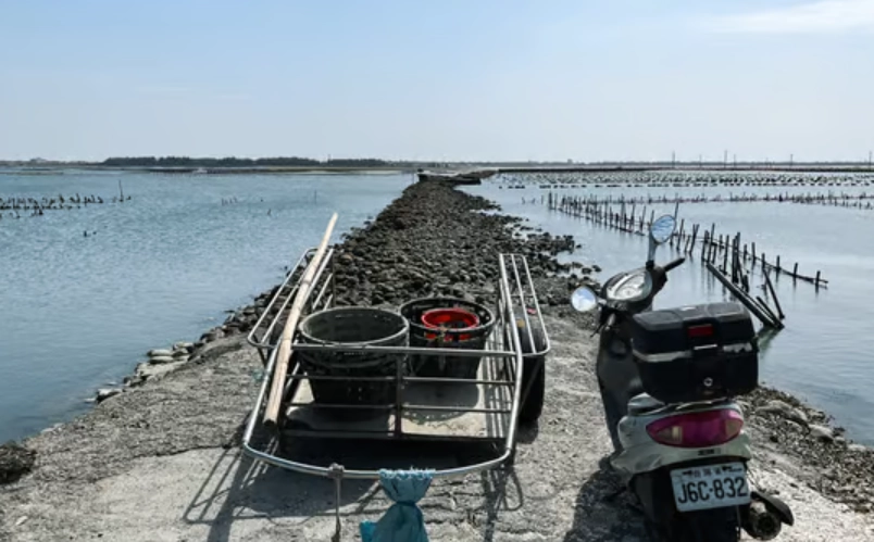 鮮蚵美食