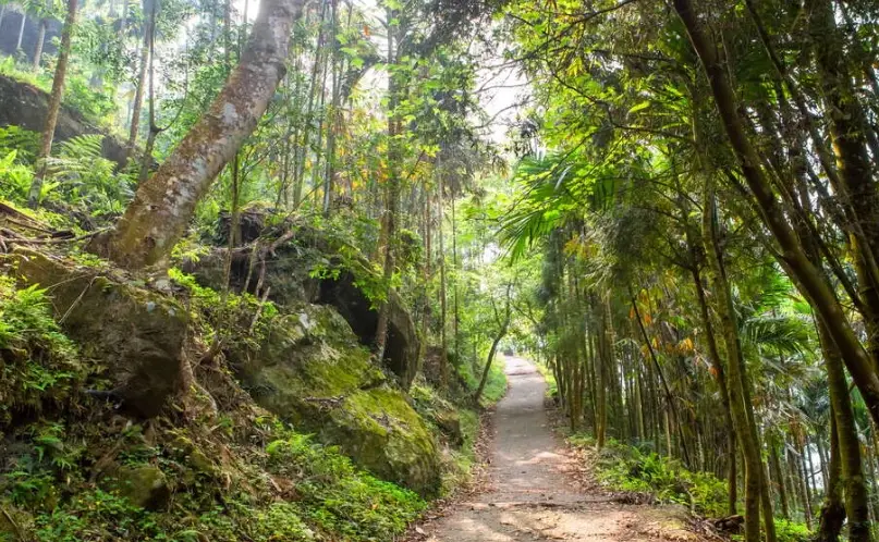 台南私房景點