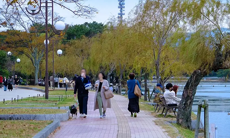 福岡親子行程 福岡親子行程