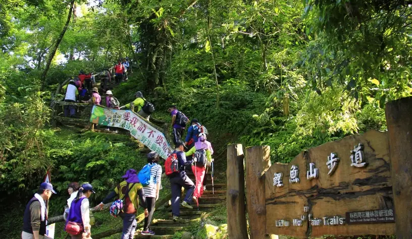 鯉魚山步道攻略 鯉魚山步道攻略