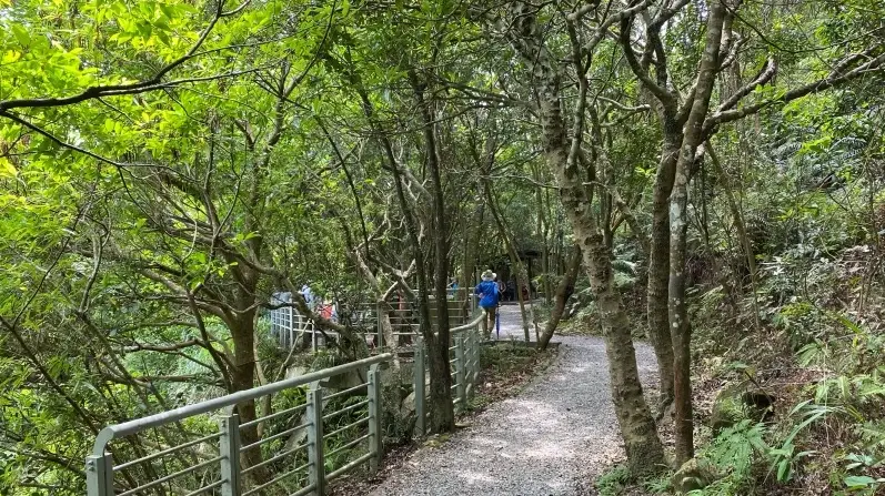 台北狗狗爬山