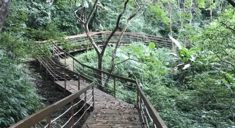 鯉魚山健行時間 鯉魚山健行時間