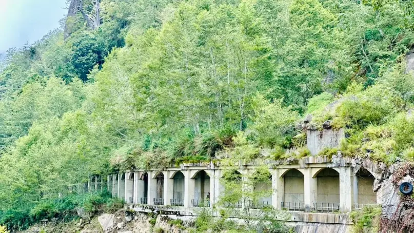 阿里山眠月線