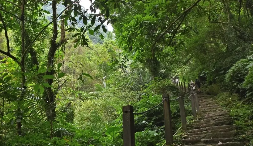 台北狗狗爬山