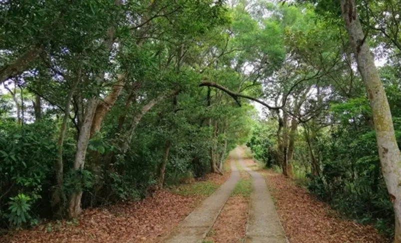 彰化登山步道