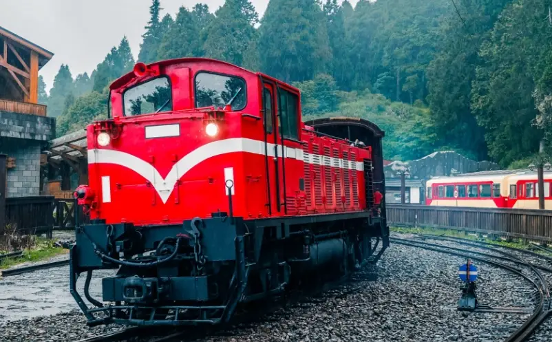 阿里山小火車怎麼玩？完整攻略與私房行程大公開