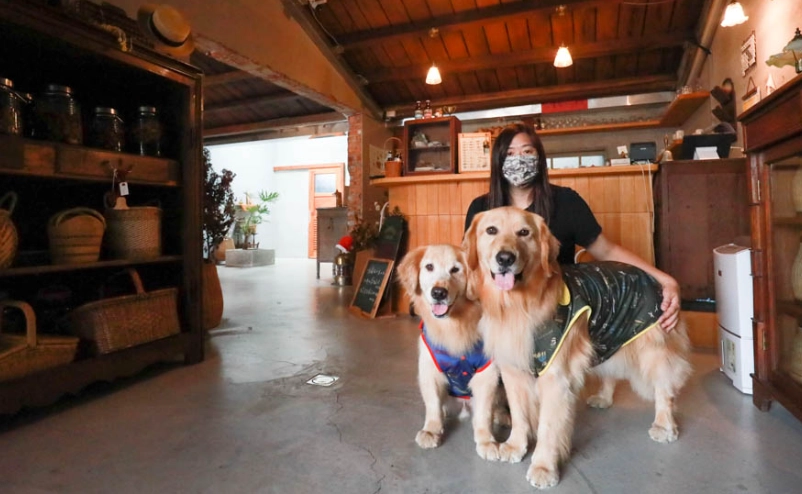 墾丁寵物餐廳