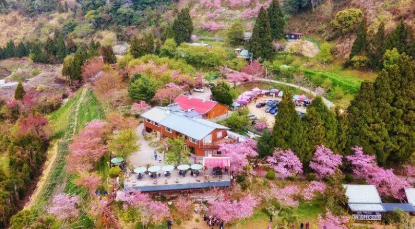 免裝備露營 免裝備露營