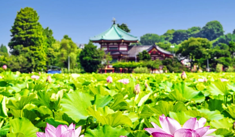 東京旅遊攻略 東京旅遊攻略