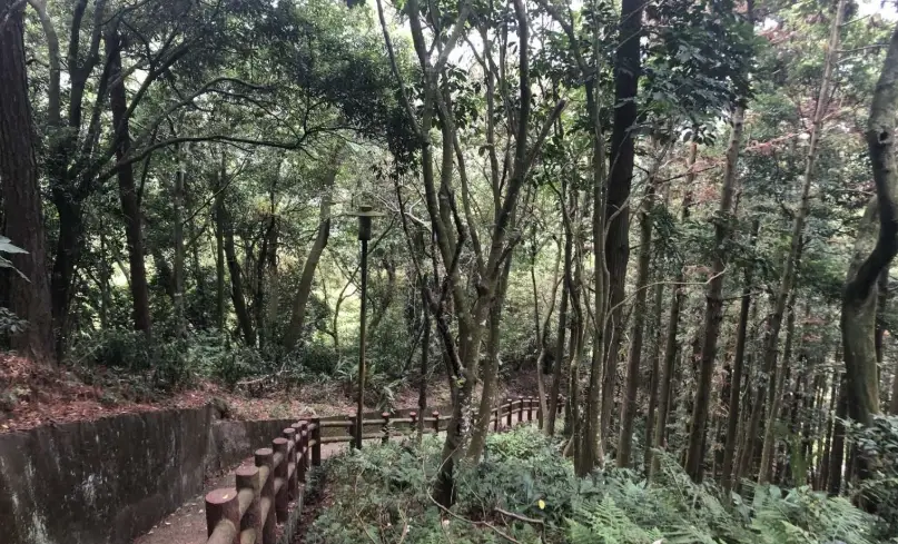鳴鳳古道行程 鳴鳳古道行程