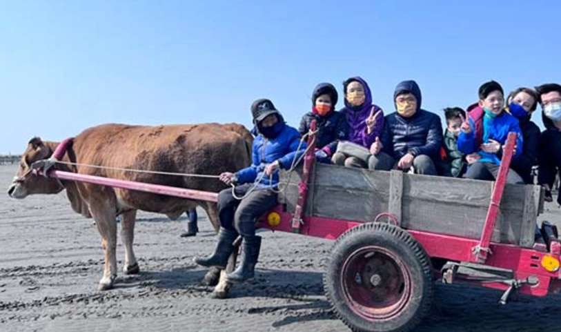 王功牛車體驗 王功牛車體驗