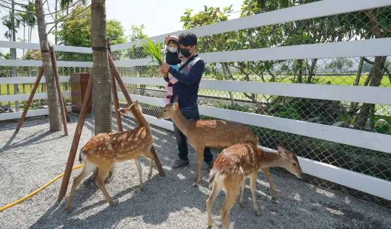 宜蘭農場親子遊 宜蘭農場親子遊