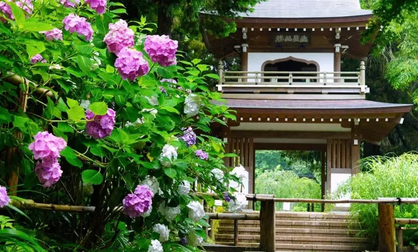 圓覺寺 圓覺寺