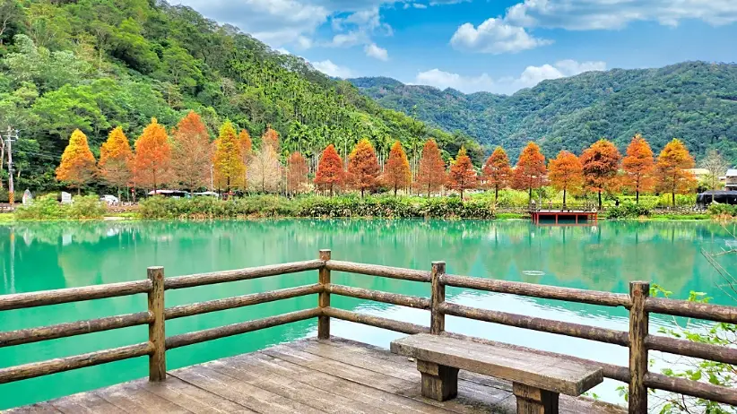 宜蘭落羽松秘境 宜蘭落羽松秘境