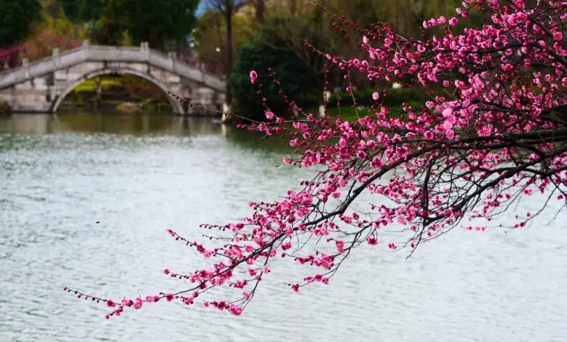 杭州天氣 杭州天氣