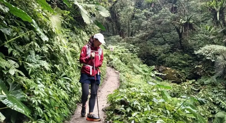 台北寵物友善步道 台北寵物友善步道