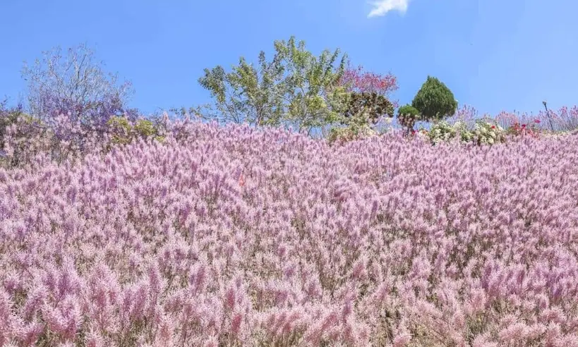 小众旅行 小众旅行