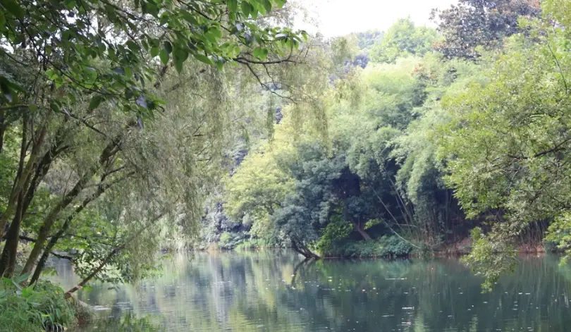 秘境祕境全攻略：台湾隐藏景点探索指南与避坑心得