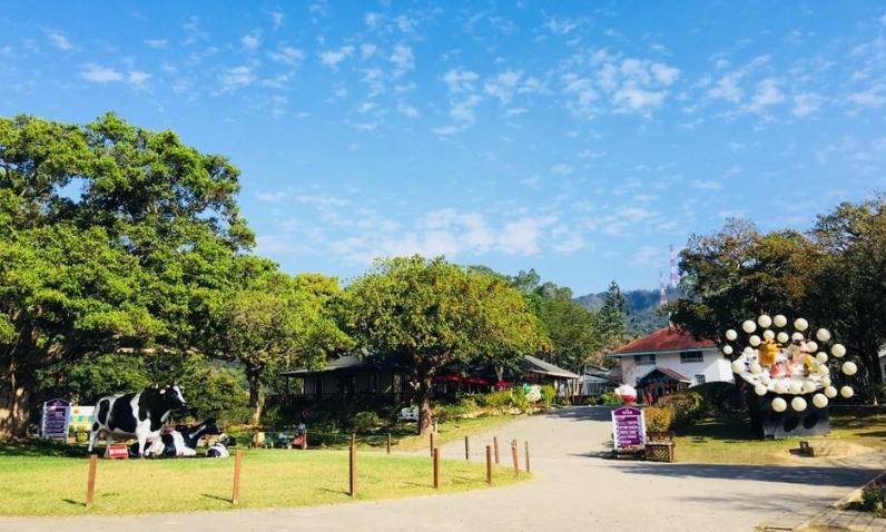 苗栗親子露營