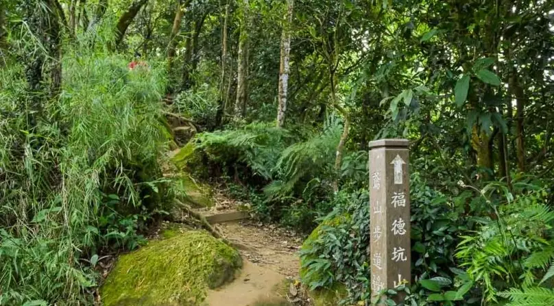 鳶山攻略 鳶山攻略