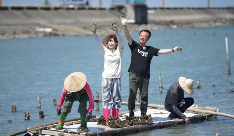 彰化王功採蚵