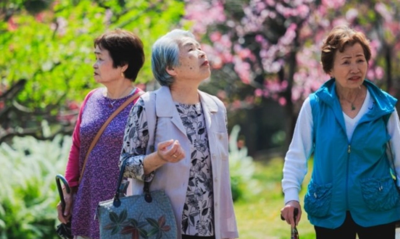 嘉義無障礙旅遊全攻略：帶長輩輕鬆玩遍友善景點
