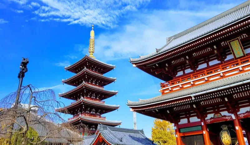 東京自由行 東京自由行