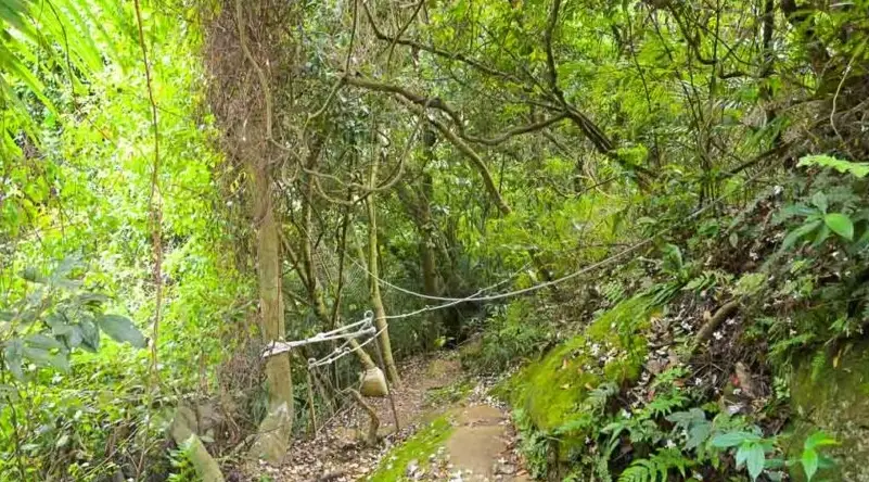 鳶山步道難度 鳶山步道難度