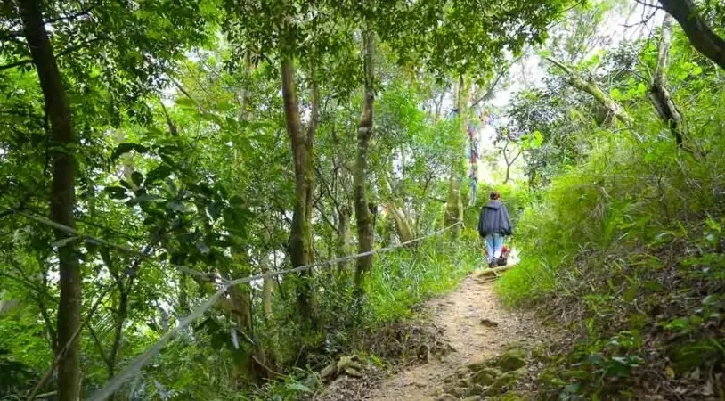 鳶山登山 鳶山登山
