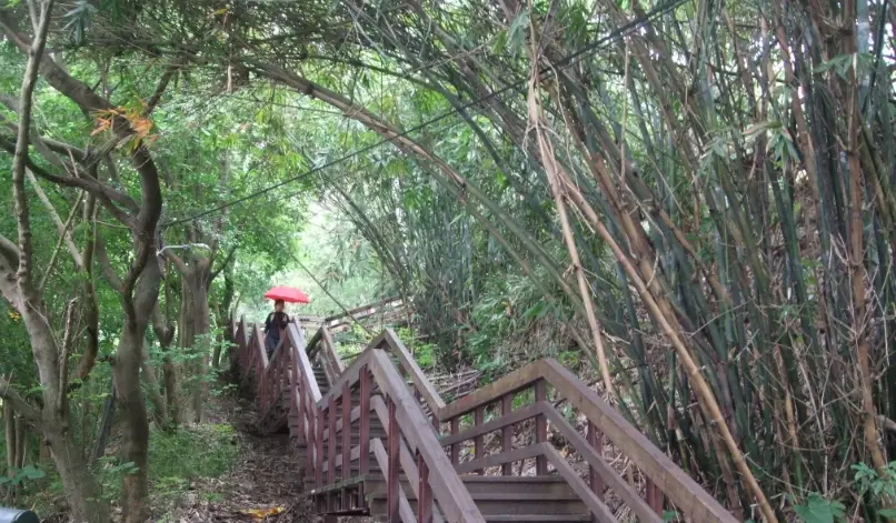 鳶山步道難度 鳶山步道難度