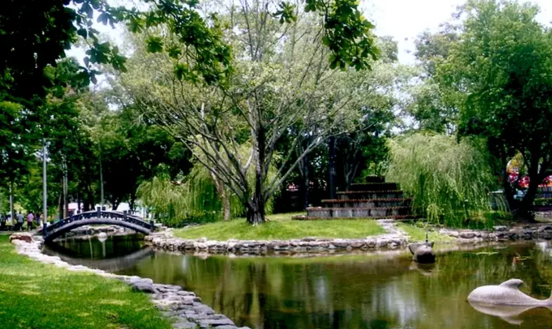 嘉義老人旅遊 嘉義老人旅遊